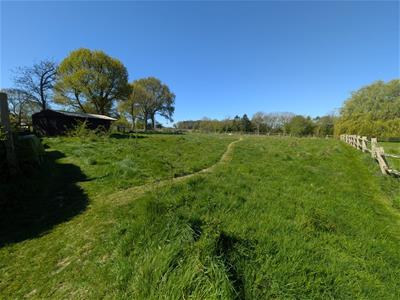 Picture 37